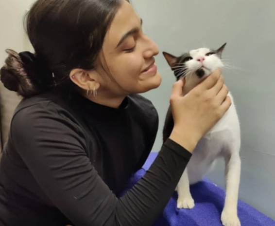 A caregiver bonding with a guest cat at Mannat
